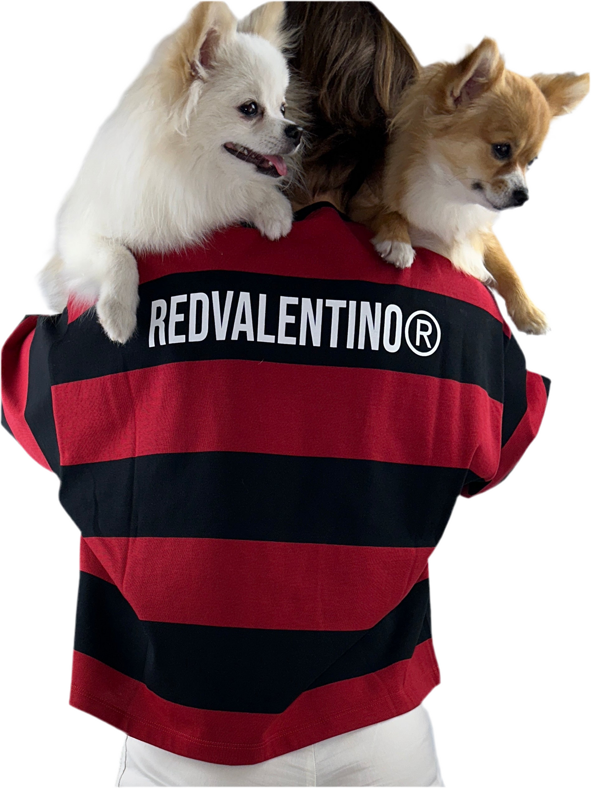 Red Valentino "RedValentino R" print striped T-shirt - size S