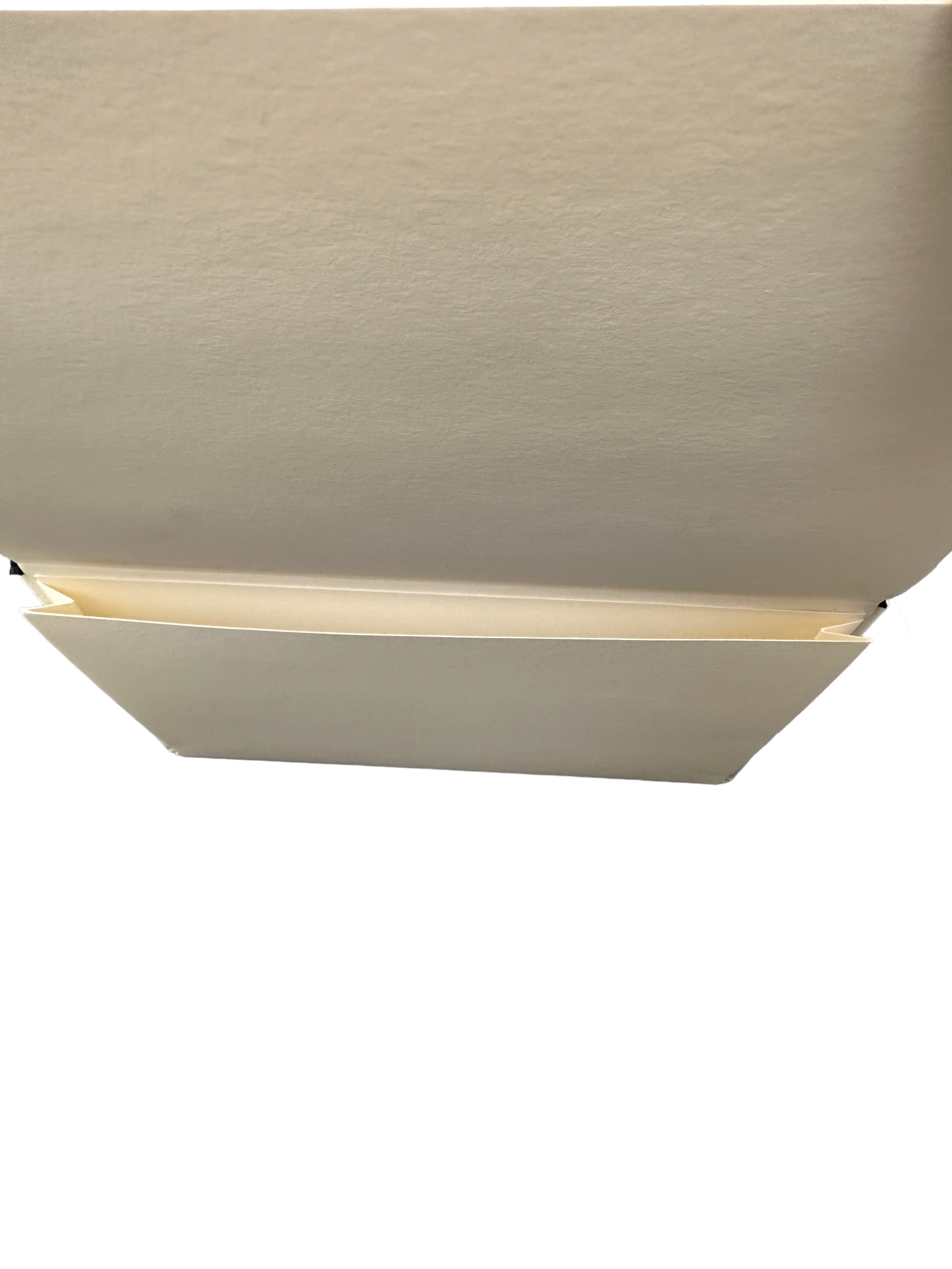 Dior notebook with blank pages