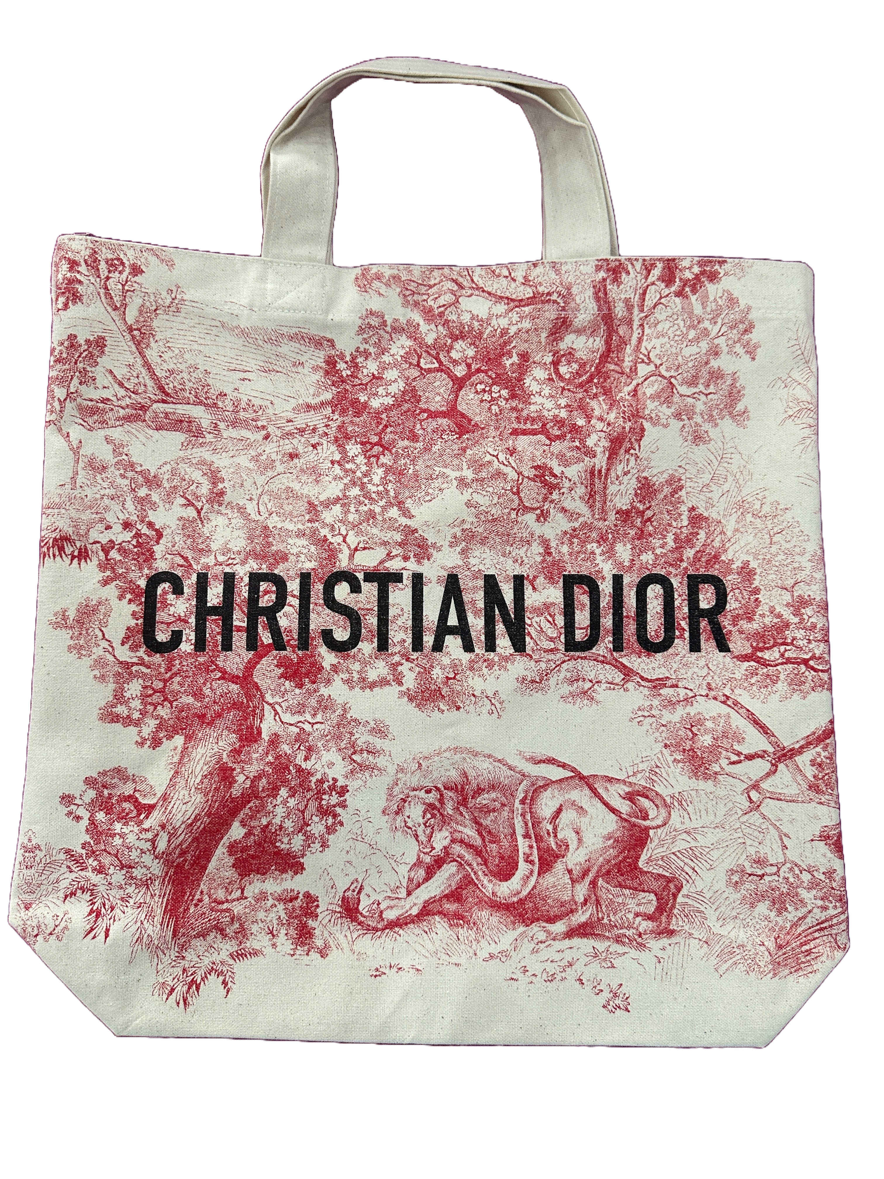 Dior Cruise 2019 tote bag