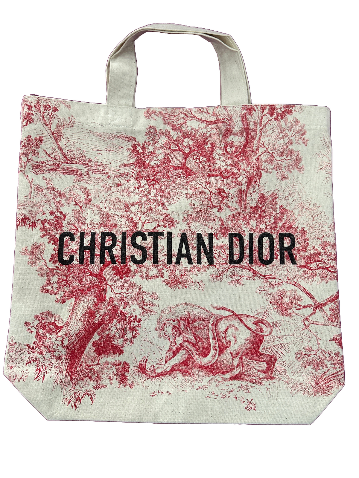 Dior Cruise 2019 tote bag